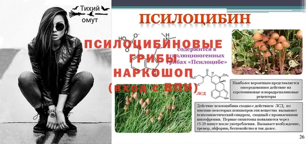 ECSTASY Абаза