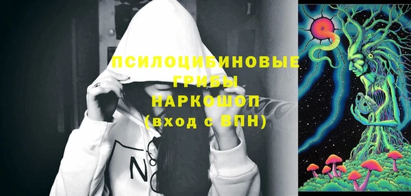 ECSTASY Абаза