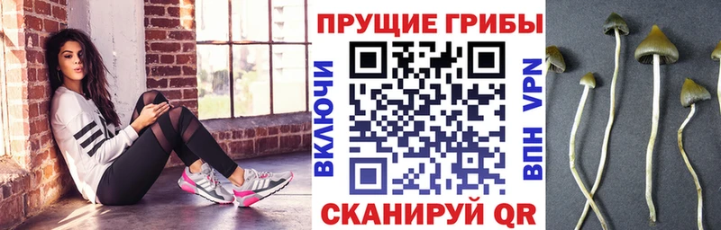 Галлюциногенные грибы Magic Shrooms  Великий Новгород 